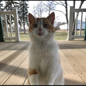 Meet your Posher, Hope